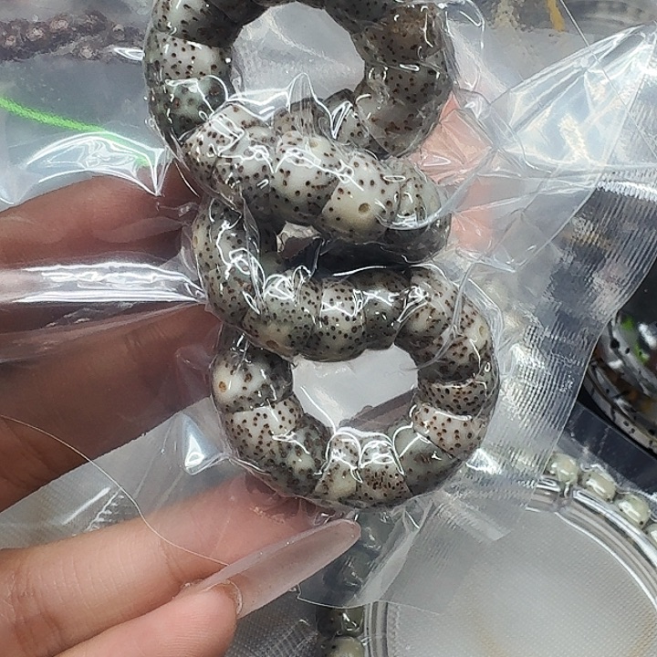 星月菩提手串648卓越星月菩提猪大肠10单圈