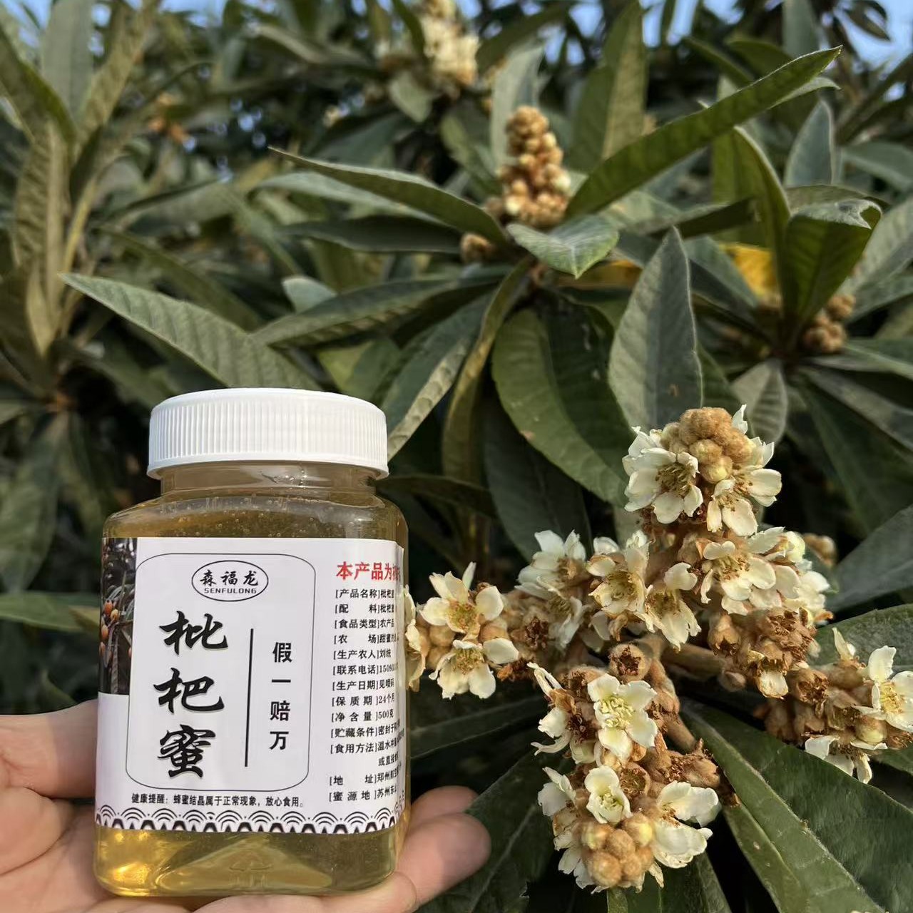 东山白玉枇杷蜜 自然成熟 天然原蜜 支持试喝 假一赔万 