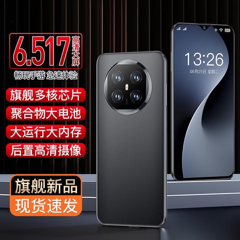 【官方正品】全新智能大屏全网通双卡双待品牌手机红鸟256黑