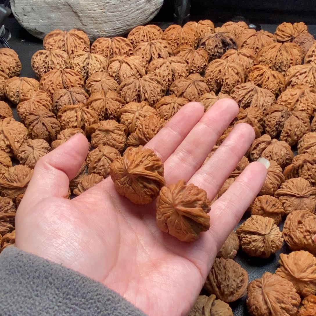 把件文玩核桃33蛇头