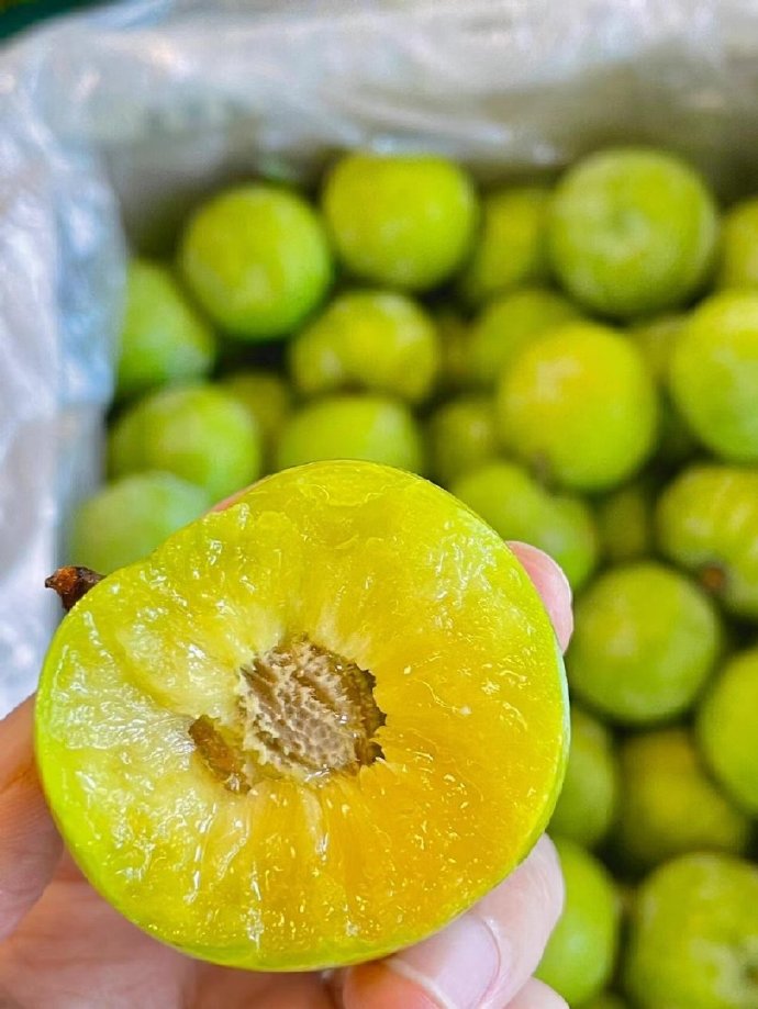 【高山脱骨李】正宗四川脱骨青脆李新鲜水果脆甜多汁核小肉厚