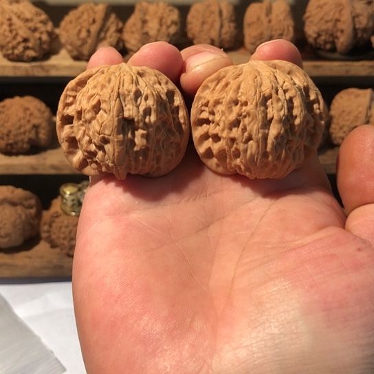 文玩核桃把件42磨盘