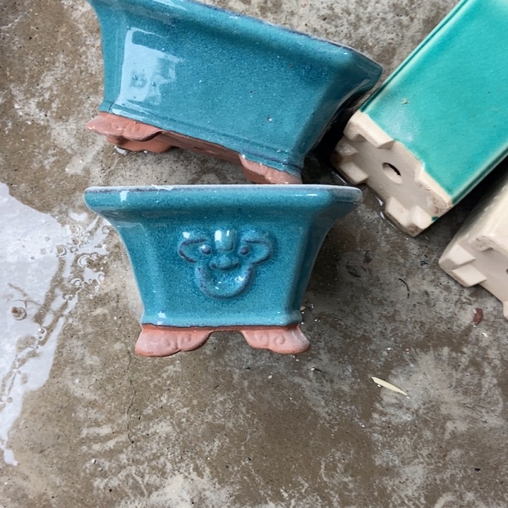 我也不知道为什么这么喜欢