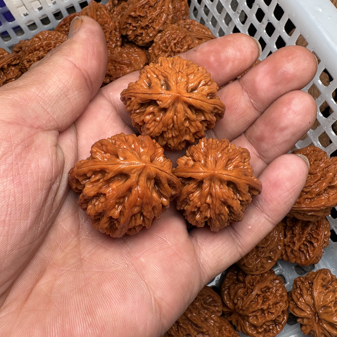 饕餮纹文玩核桃，精品对，精挑对！