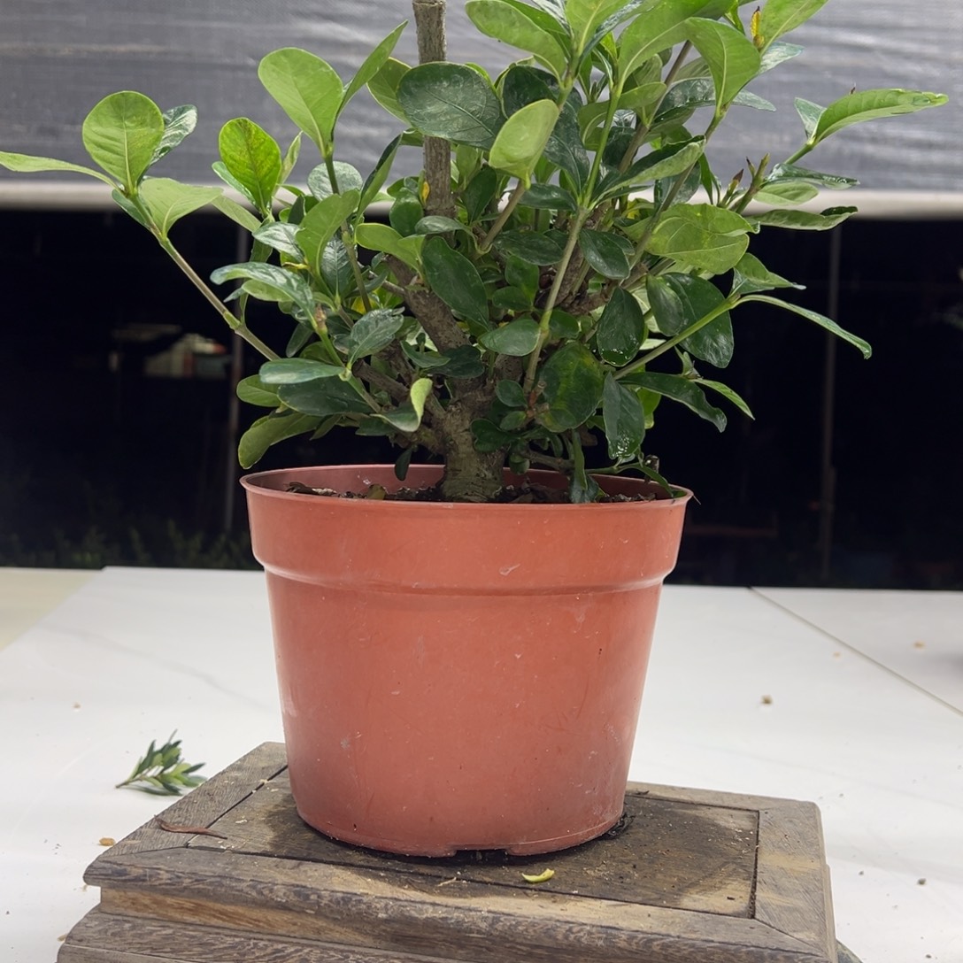 完全开放111111111