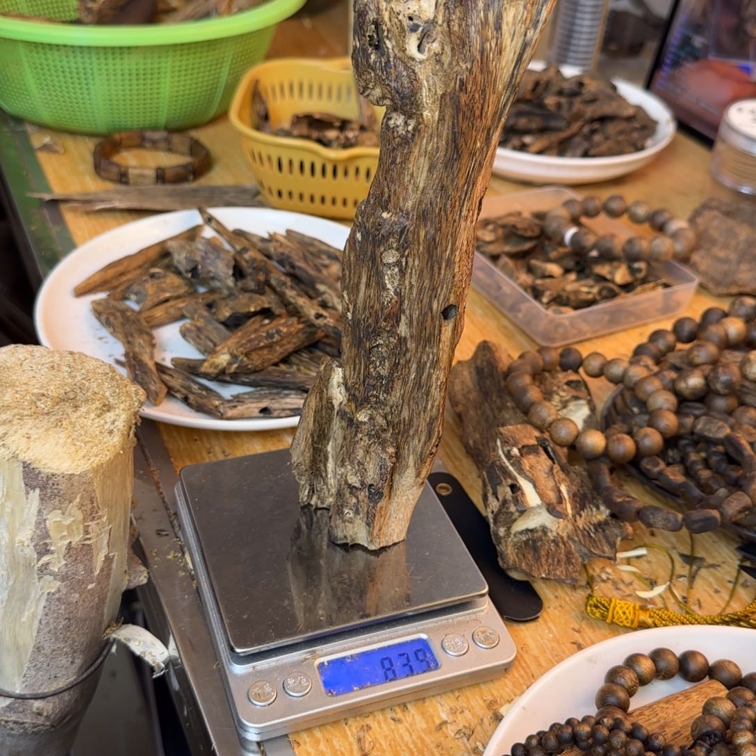 沉香沉香碎屑海南乌身原母树一代苗83克