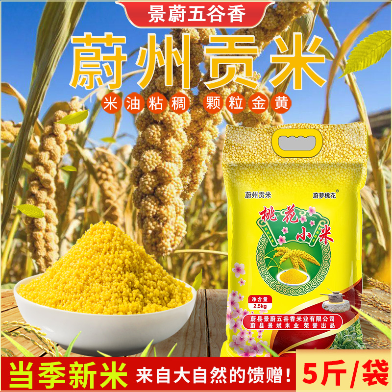 【25新米 冲量！】蔚县黄小米5斤/袋现磨桃花小米蔚州贡米张家口特产