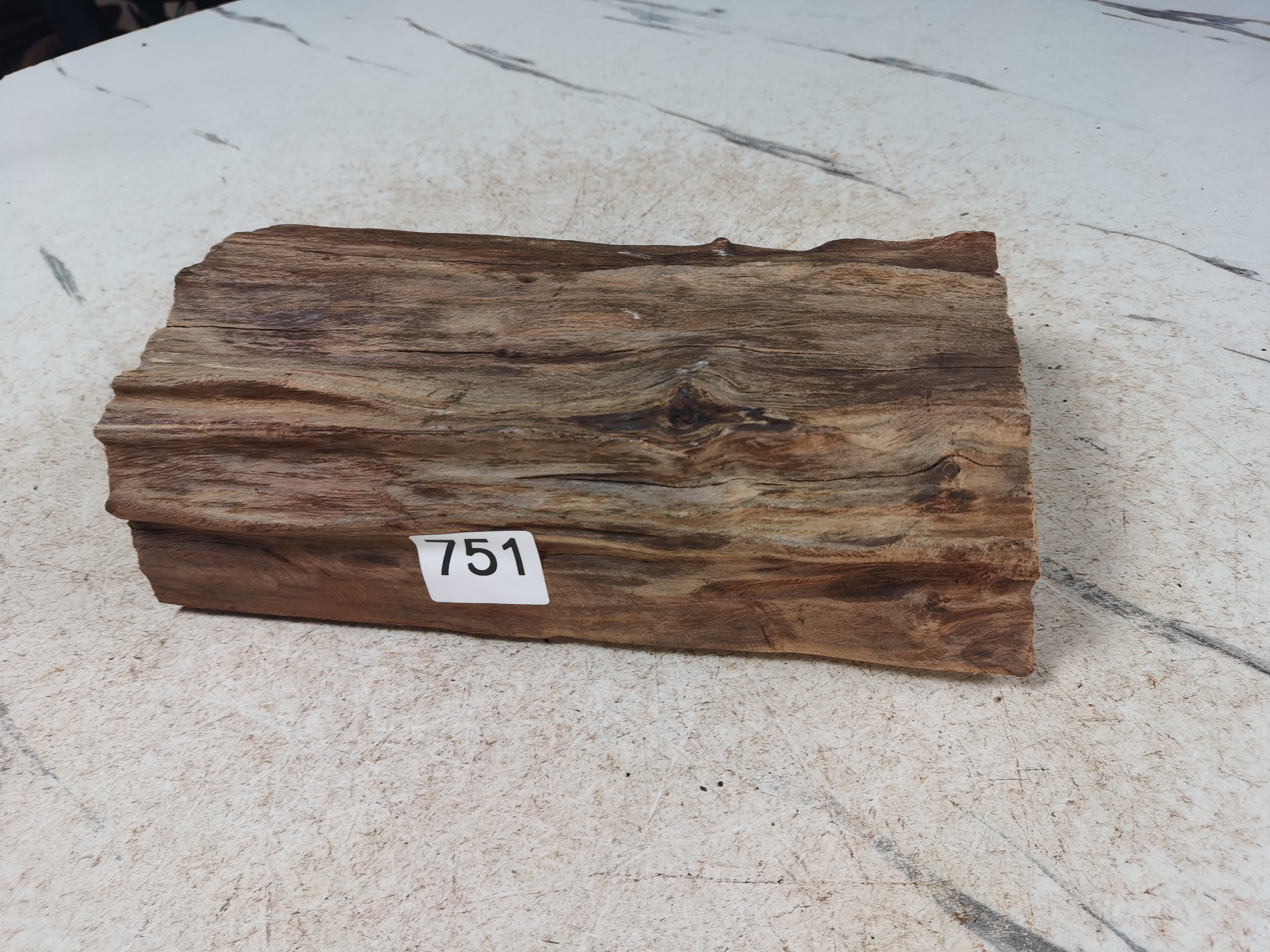 云南紫柚木沉水的沉木751