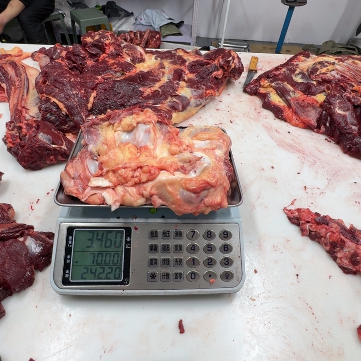 大***冬9个月中国大陆窝骨筋