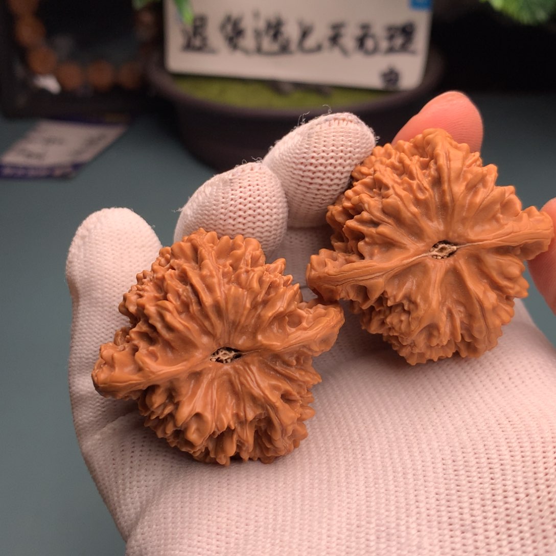 文玩核桃把件缘*满天星1