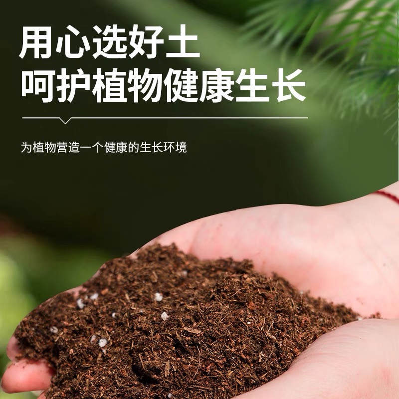 精品多肉植物   专用种植土（五斤）