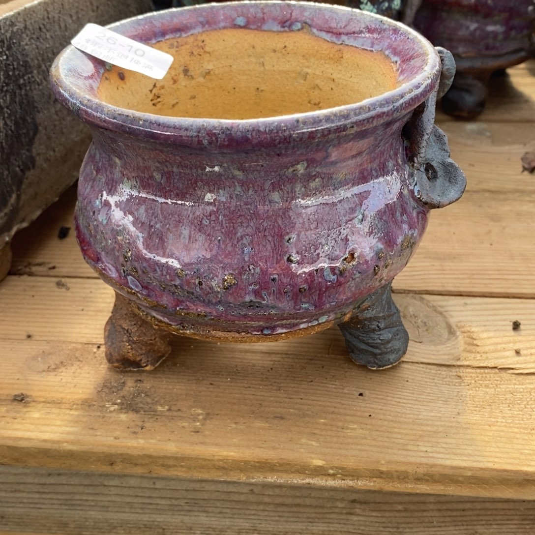 10号多肉盆口径11