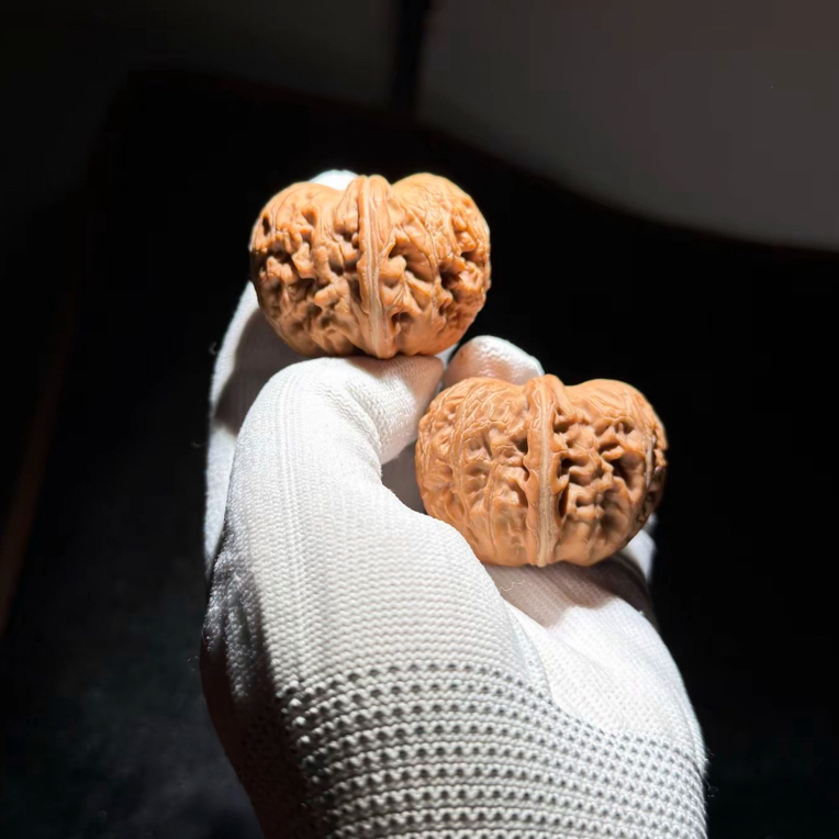 平谷元宝专项链接