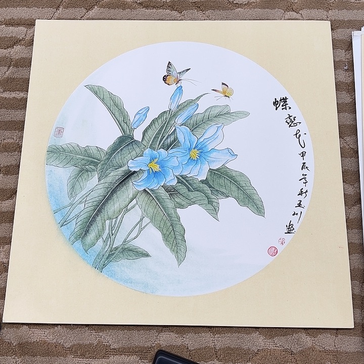 国画花鸟的翅膀和羽毛的