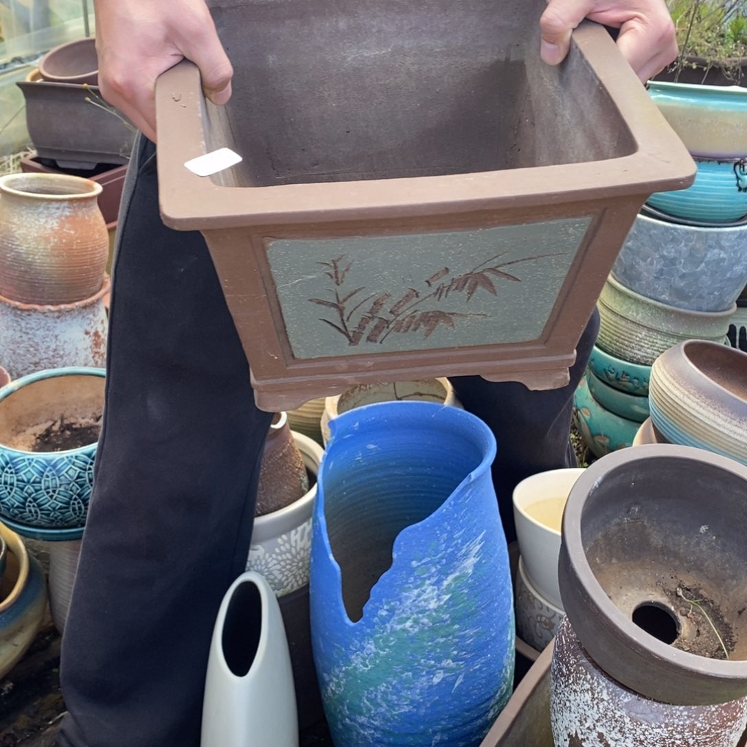 松***子69号多肉盆口径27