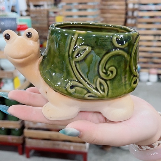 花盆凑单福利满10元发货！