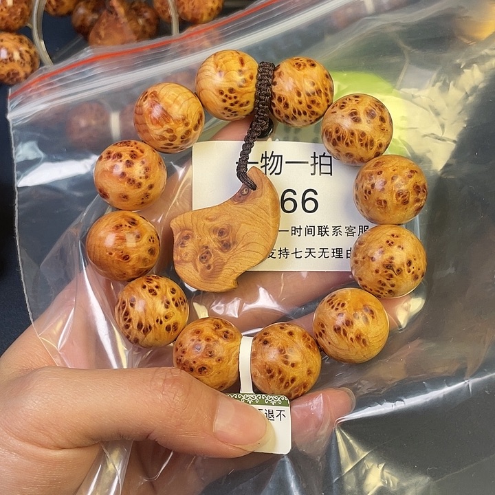 柏木（崖柏）其他秋****566