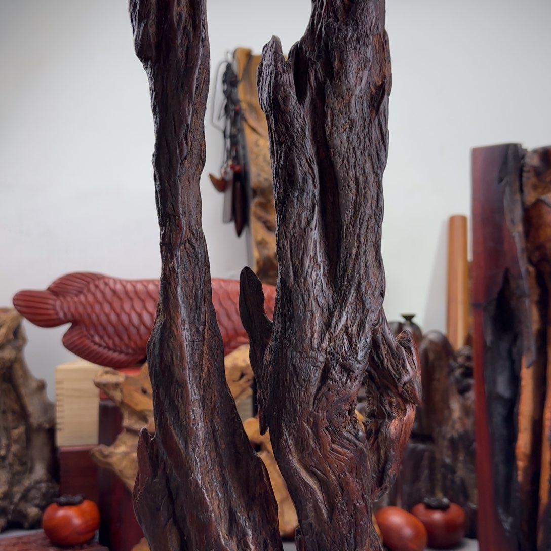 大果紫檀（缅甸花梨）润*