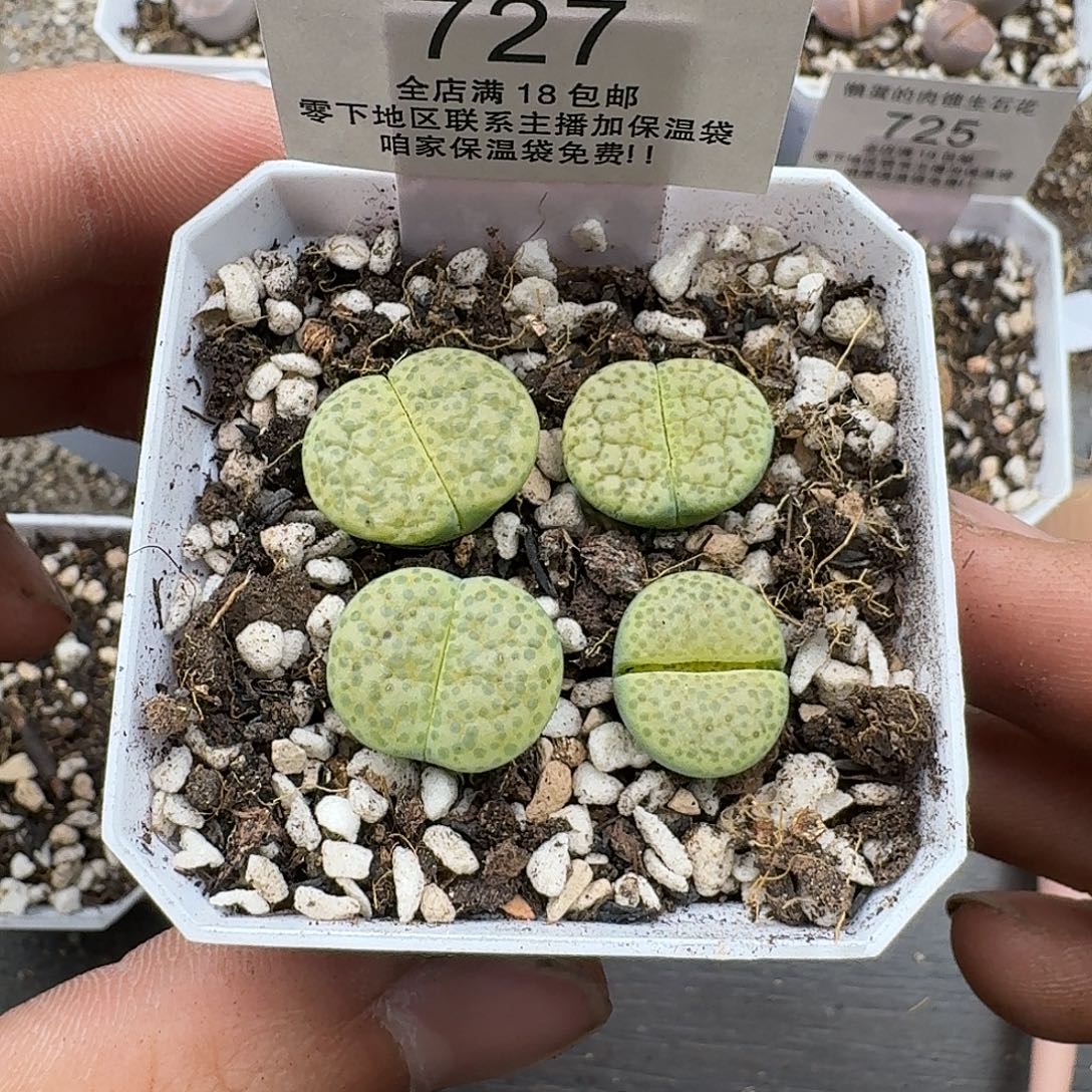 727尺寸1.5cm左右满18包邮