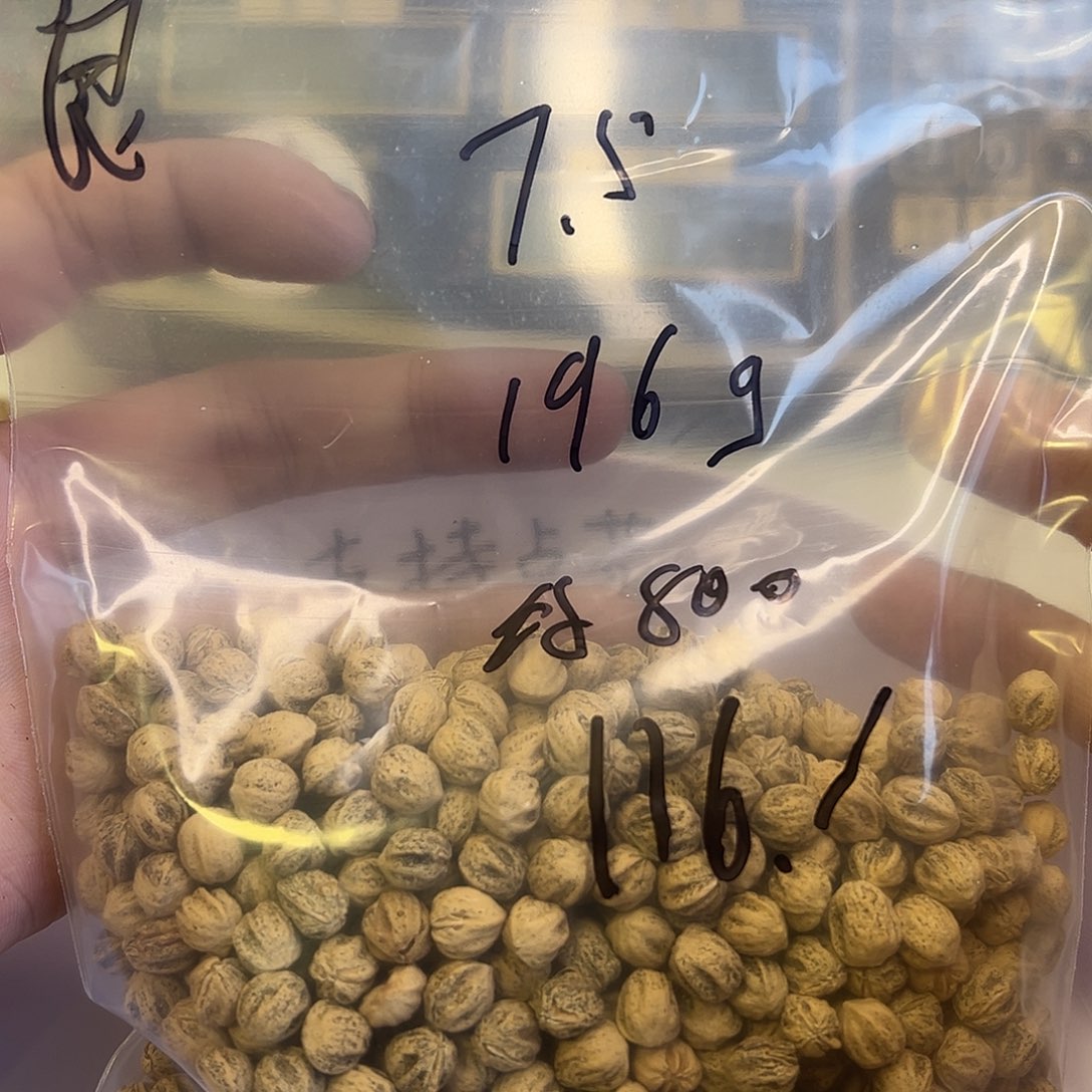 良***耳柏香籽/百香籽吊坠