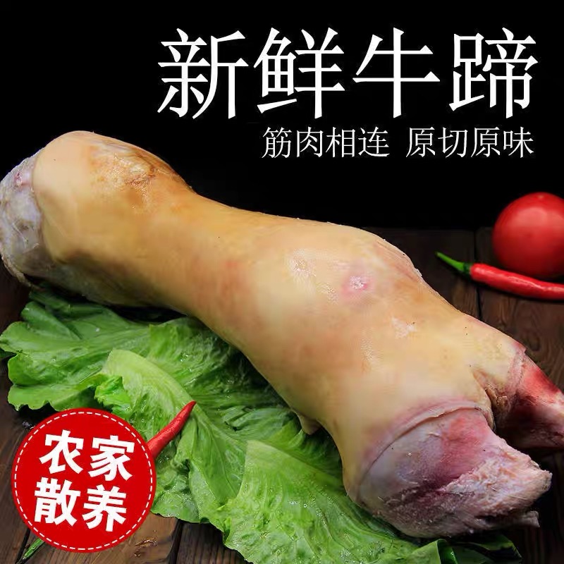正宗本地土黄牛牛脚