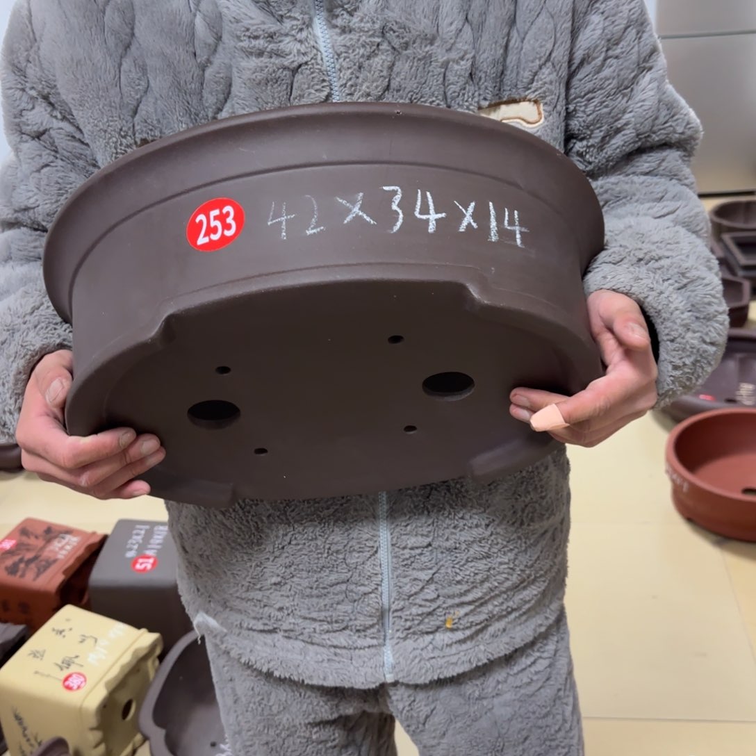 紫砂花盆呜呜呜呜