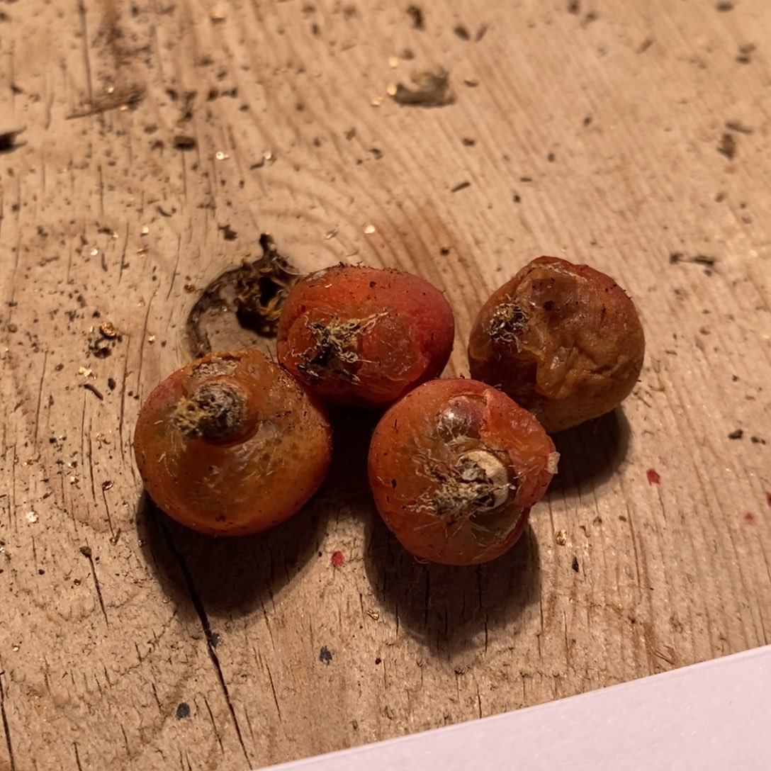 13191一组一组一组