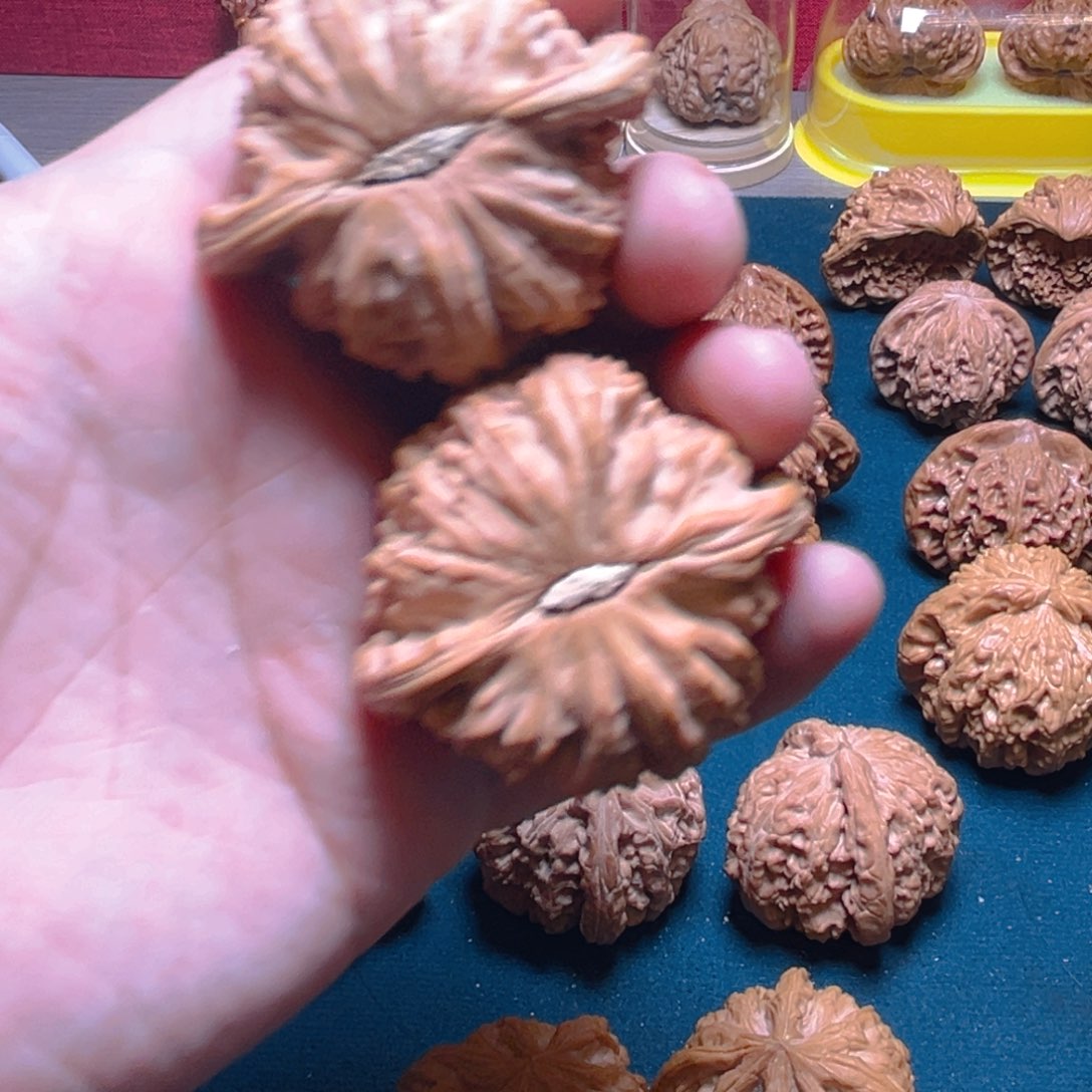 文玩核桃把件坐***时白狮子