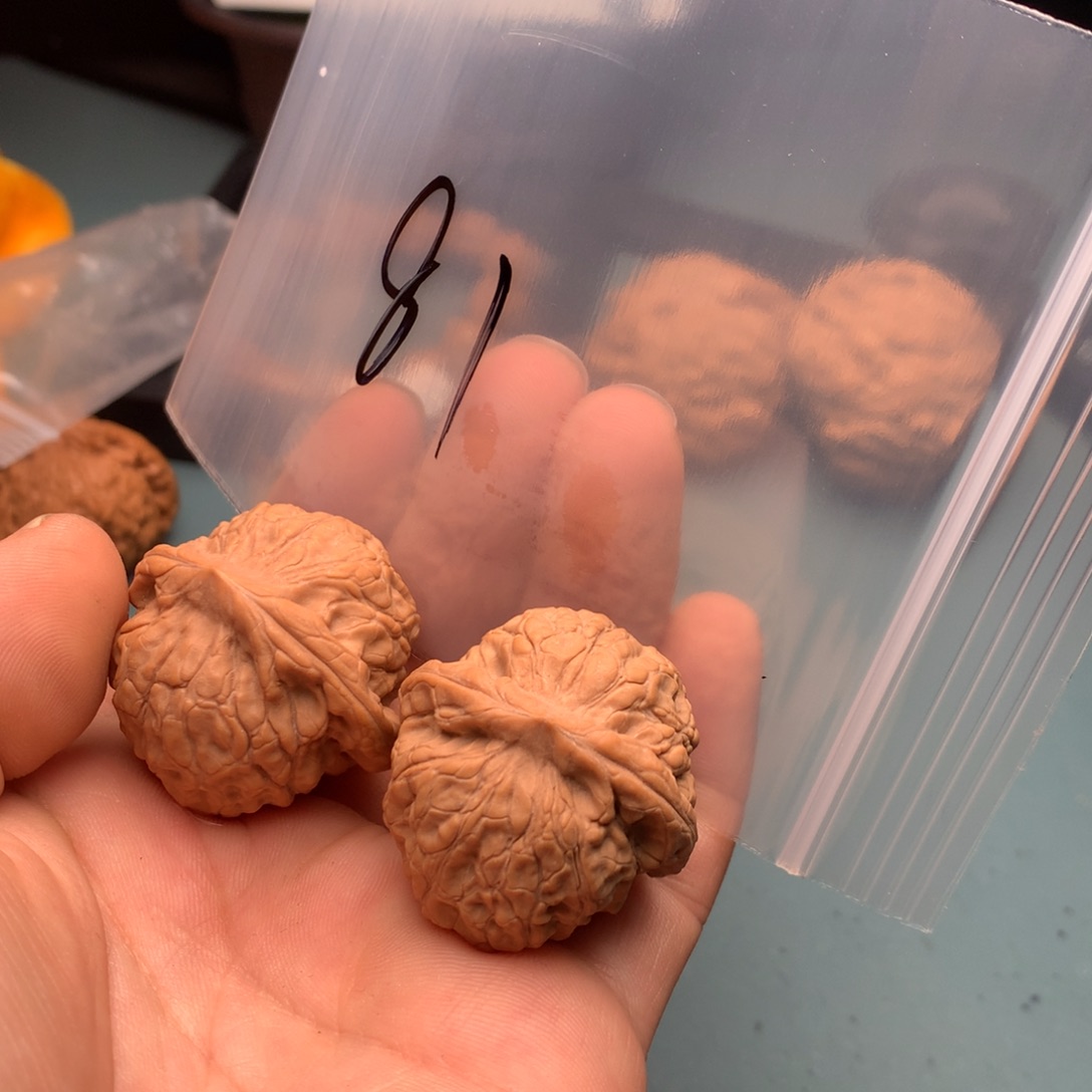 文玩核桃把件用****5战甲81