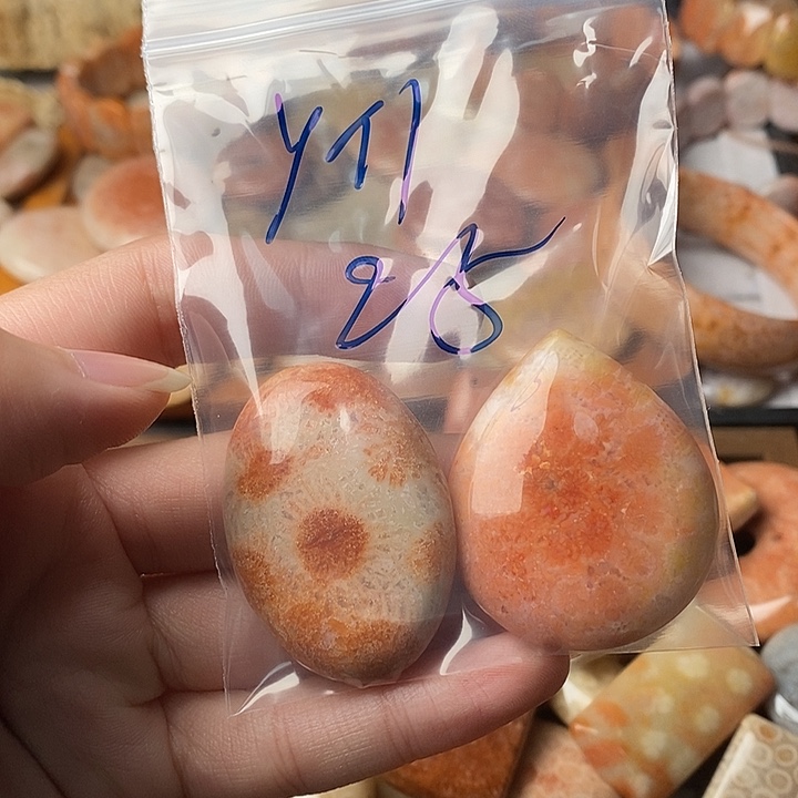 y***l硅化珊瑚未镶嵌颈饰