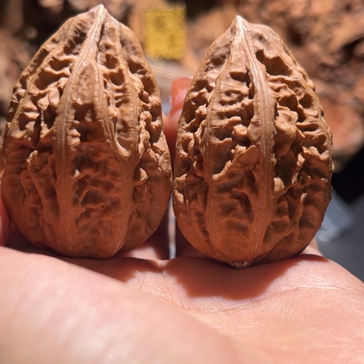 桃核吊坠九哥楸核23