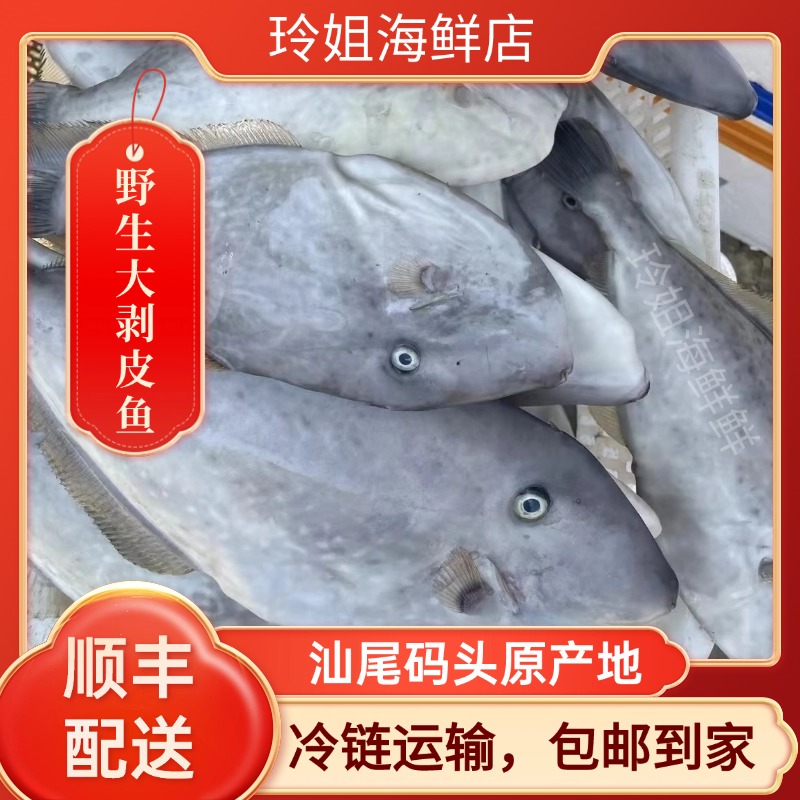 广东汕尾本港纯野生大迪仔（大迪婆）焖豆酱一级棒
