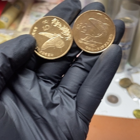 其他普通金属动物鲟蝶册拆，，，