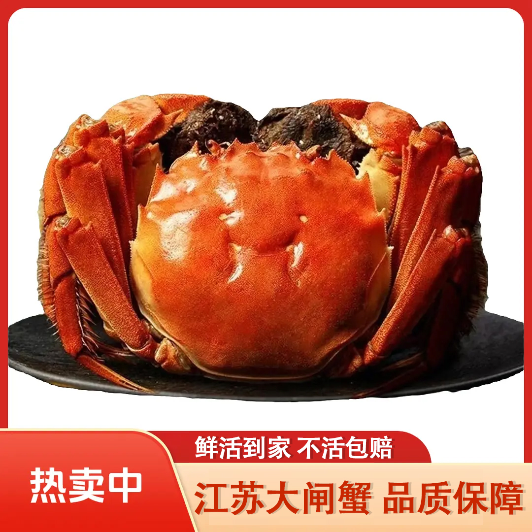 Q【活蟹】江苏大闸蟹公母混公蟹4两母蟹3两共10只死蟹包赔顺丰京东