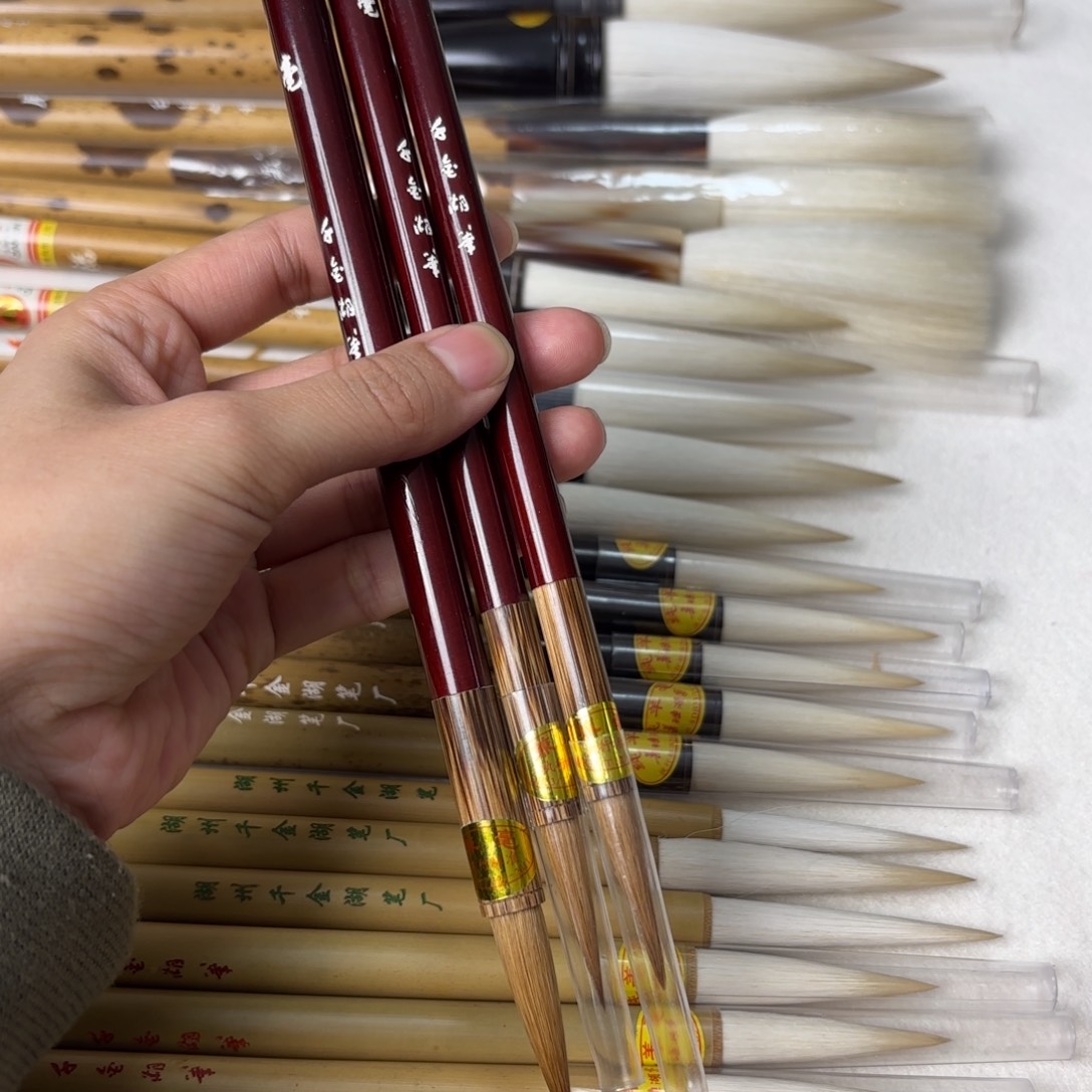 九狼一紫纯动物紫琅三只