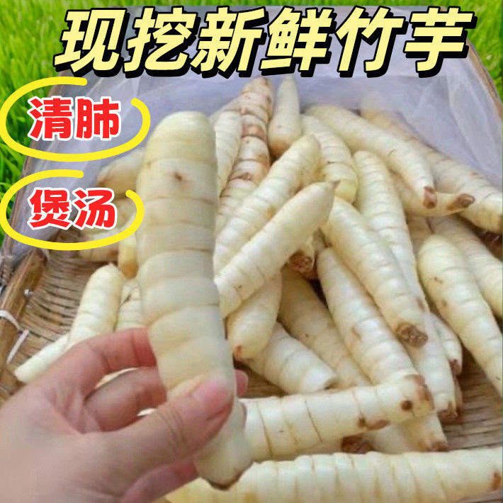 广东冬薯竹薯新鲜竹芋 冬粉薯凉粉薯 糖水炖汤火锅食材 500克包邮