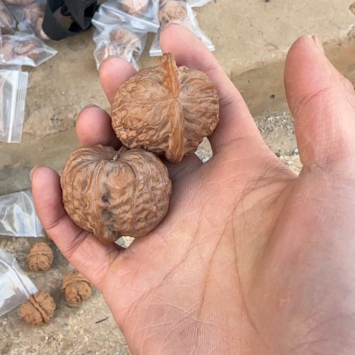 页***文玩核桃把件南瓜墩