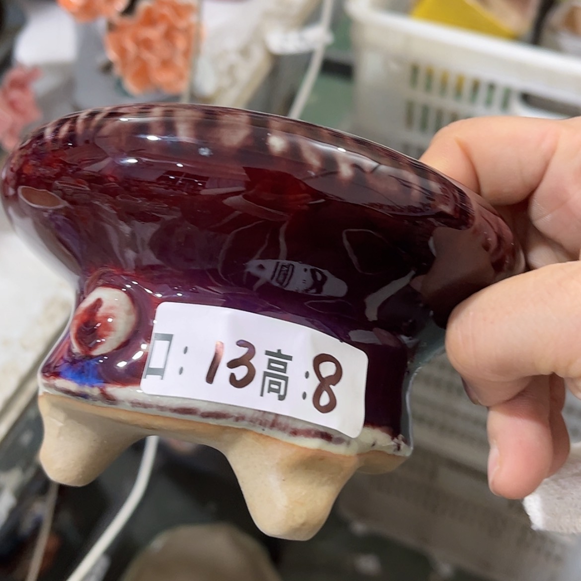 【闪购商品】红陶福利