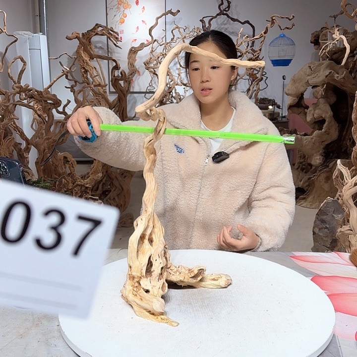 风车木（黑檀木）黄*松