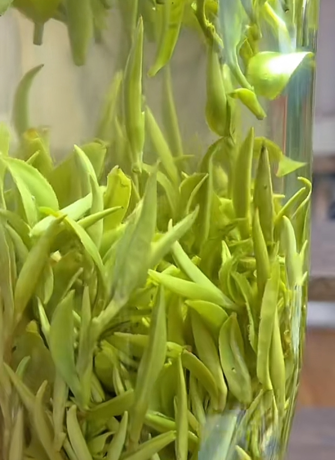 黄山毛峰 明前头釆 色泽明亮