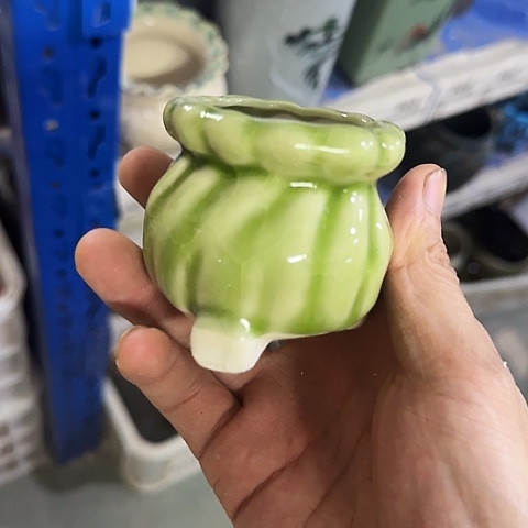 ····全是福利·····241