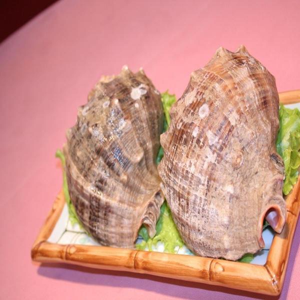 【东胜同城送】角螺