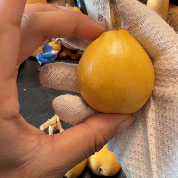 在***.6…………………………………………