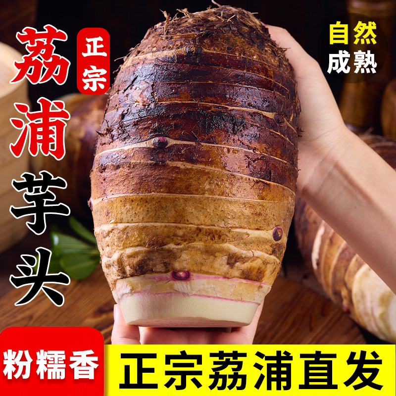 【荔浦发货】正宗荔浦芋头广西桂林特产好吃香芋广西特产新鲜毛芋头