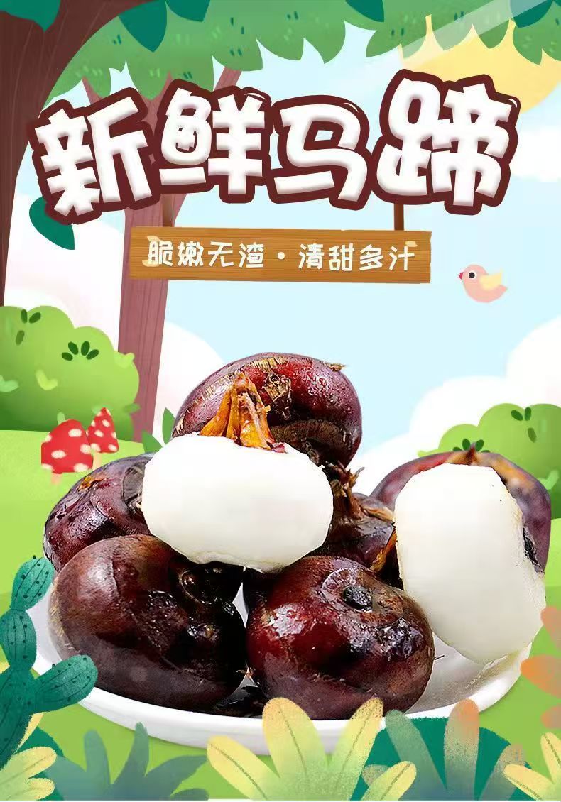 广西马蹄红皮马蹄马蹄果脆甜多汁皮薄肉厚新鲜现挖水果荸荠