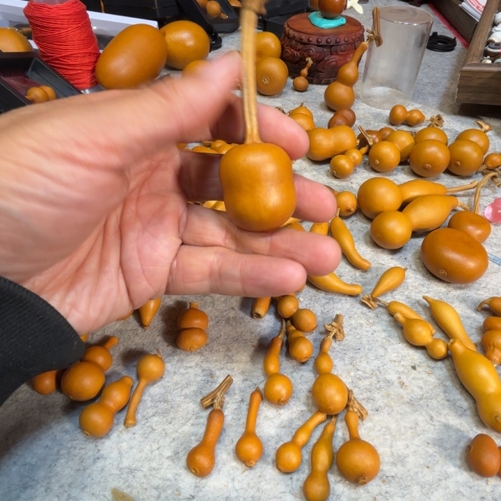 M***月八月的一把小胖墩儿小胖墩葫芦花园