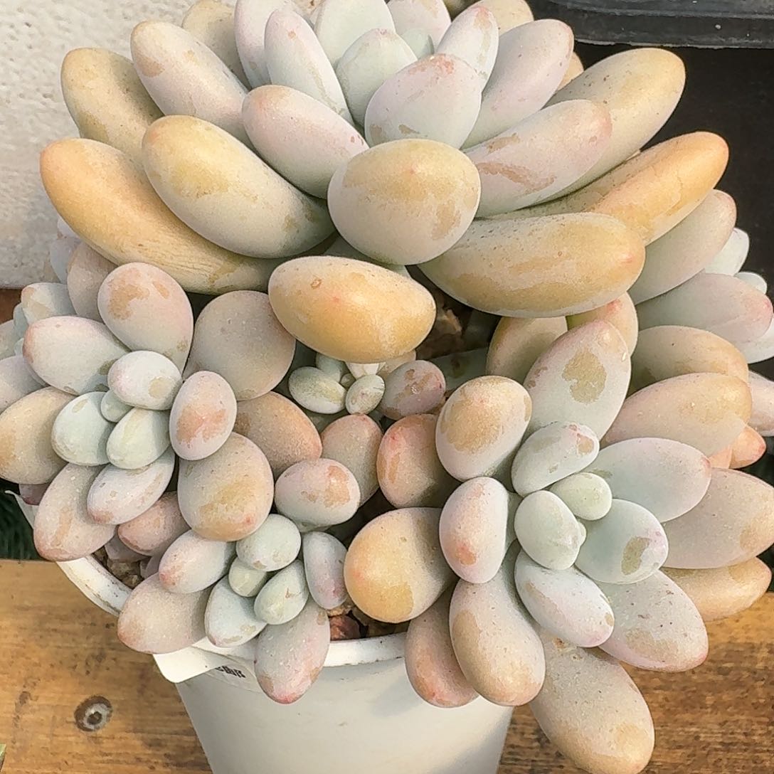 区满28元包邮1111