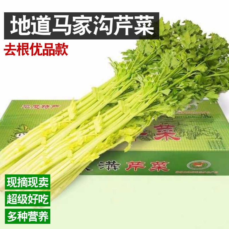 【去根优品】平度马家沟芹菜空心芹菜黄绿相间一秒开花生吃凉拌包饺子包包子礼盒芹菜