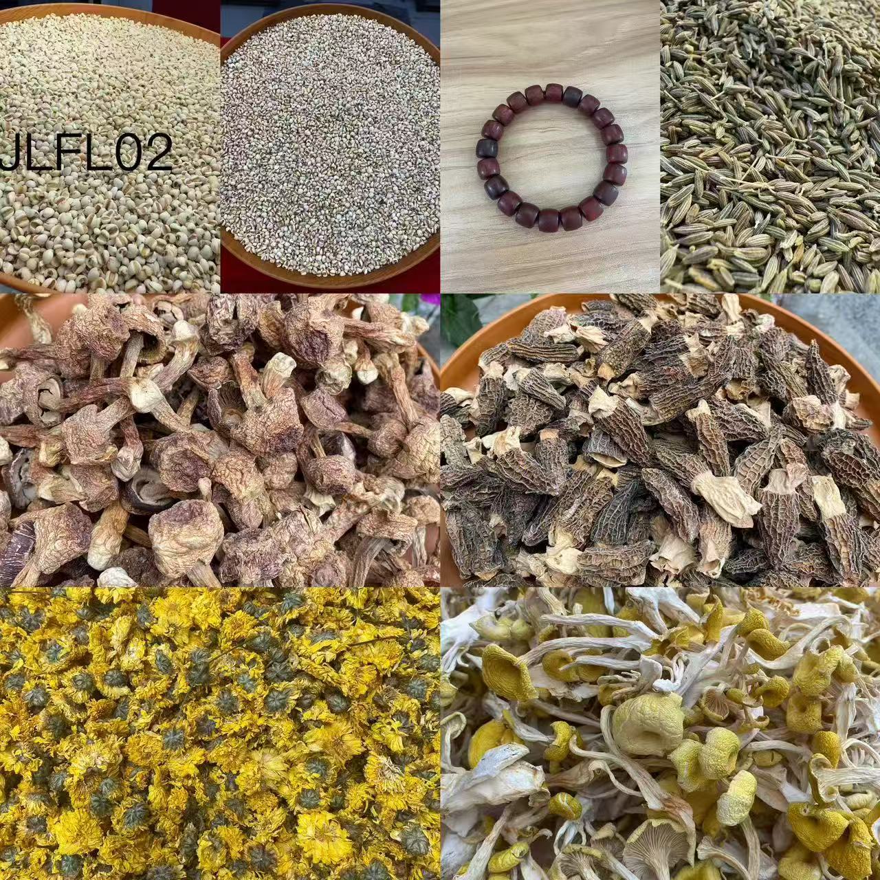 《阿浩专用土特产JLFL02》多样性发货 重量14克左右