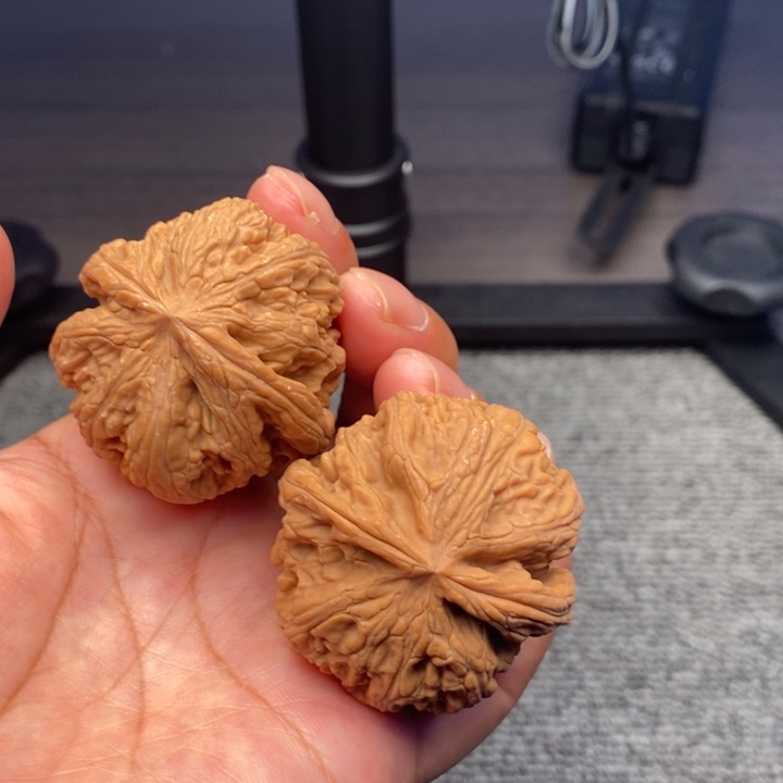 大叶紫檀（黑酸枝木类）大粗筋41